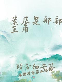 叶辰是哪部小说主角