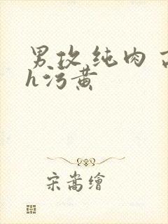 男攻 纯肉 高h污黄