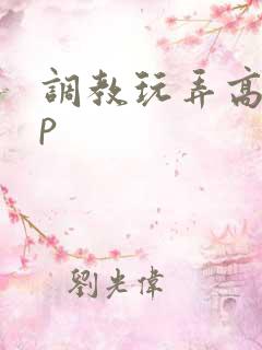 调教玩弄高hnp