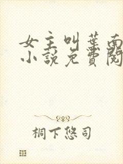 女主叫叶南枝的小说免费阅读