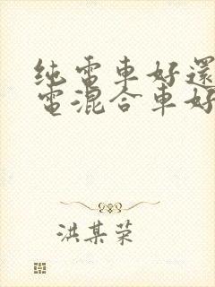 纯电车好还是油电混合车好