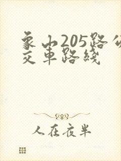 象山205路公交车路线