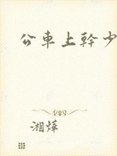 公车上干少妇
