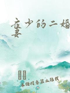 夜少的二婚新妻妻
