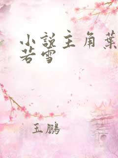 小说主角叶凡唐若雪