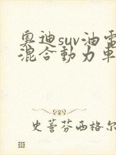 奥迪suv油电混合动力车型