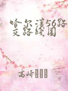 哈尔滨56路公交路线图