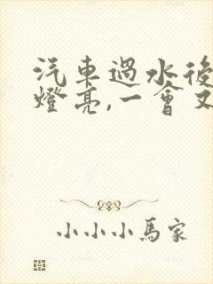 汽车过水后电瓶灯亮,一会又暗下去