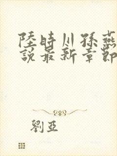 陆时川孙燕燕小说最新章节阅读免费