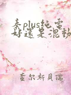 秦plus纯电好还是混动好