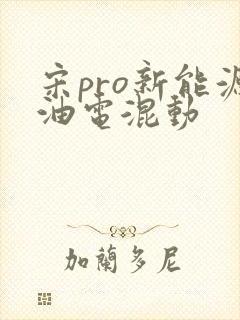 宋pro新能源油电混动