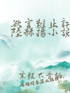 欲言难止许则,陆赫扬小说全文免费阅读下载