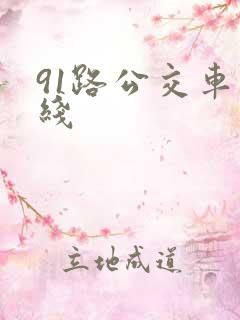 91路公交车路线