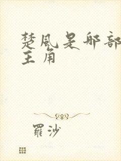 楚风是哪部小说主角