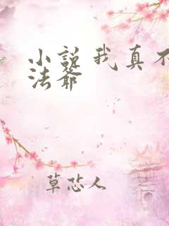 小说 我真不是法爷