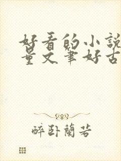 好看的小说高质量文笔好古言