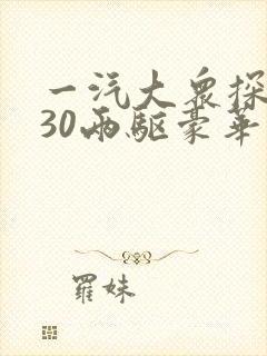 一汽大众探岳330两驱豪华