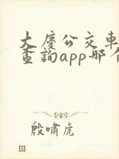 大庆公交车实时查询app哪个好用