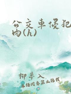 公交车侵犯直男肉(h) 公交车侵犯直男肉(h)