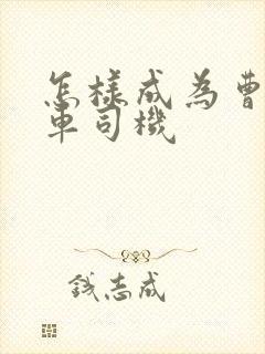 怎样成为曹操专车司机