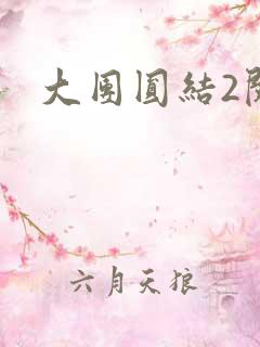 大团圆结2阅读