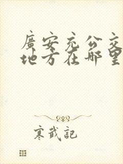 广安充公交卡的地方在哪里