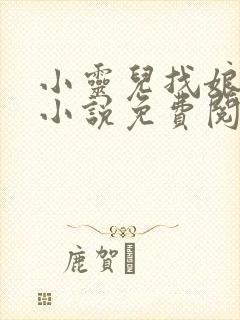 小灵儿找娘亲的小说免费阅读