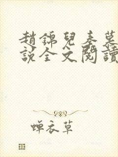 赵锦儿秦慕修小说全文阅读免费