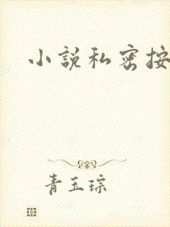 小说私密按摩师