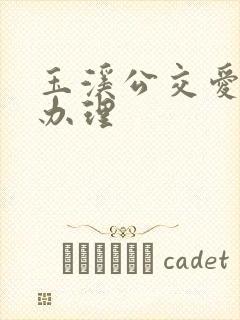 玉溪公交爱心卡办理