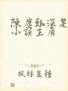 陈尘韩深是哪部小说主角