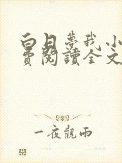 白日梦我小说免费阅读全文无删减
