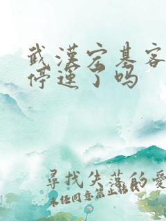 武汉宏基客运站停运了吗