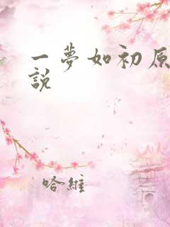 一梦如初原著小说