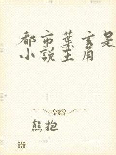 都市叶玄是哪本小说主角