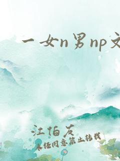 一女n男np文