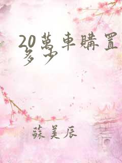 20万车购置税多少
