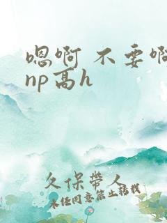 嗯啊 不要啊 np高h