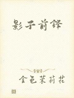 影子前锋