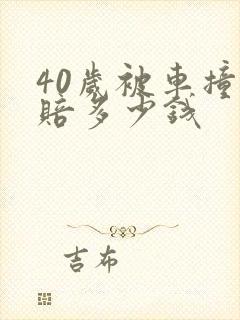 40岁被车撞死赔多少钱