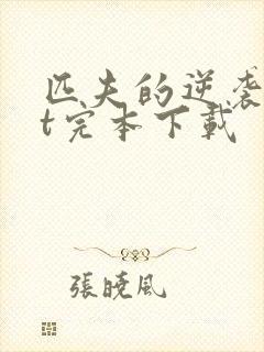 匹夫的逆袭txt完本下载