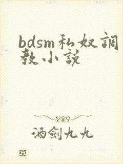 bdsm私奴调教小说