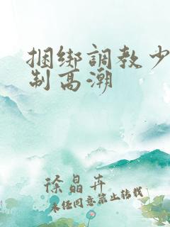 捆绑调教少妇强制高潮
