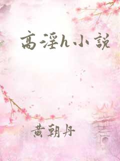 高淫h小说