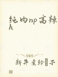 纯肉np高辣文h