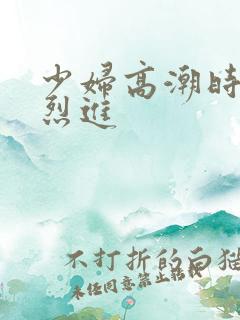 少妇高潮时被猛烈进