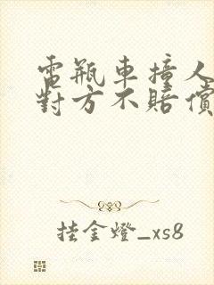 电瓶车撞人全责对方不赔偿怎么办?