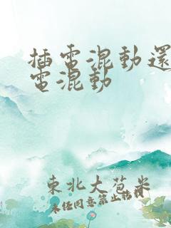 插电混动还是油电混动