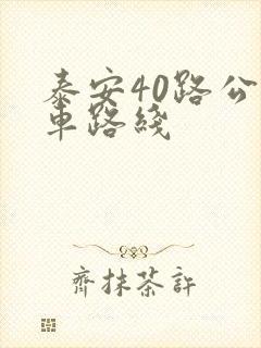 泰安40路公交车路线