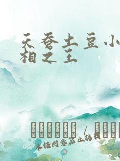 天蚕土豆小说万相之王